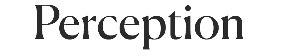 The word "Perception" is written in large, black serif font on a light gray background.
